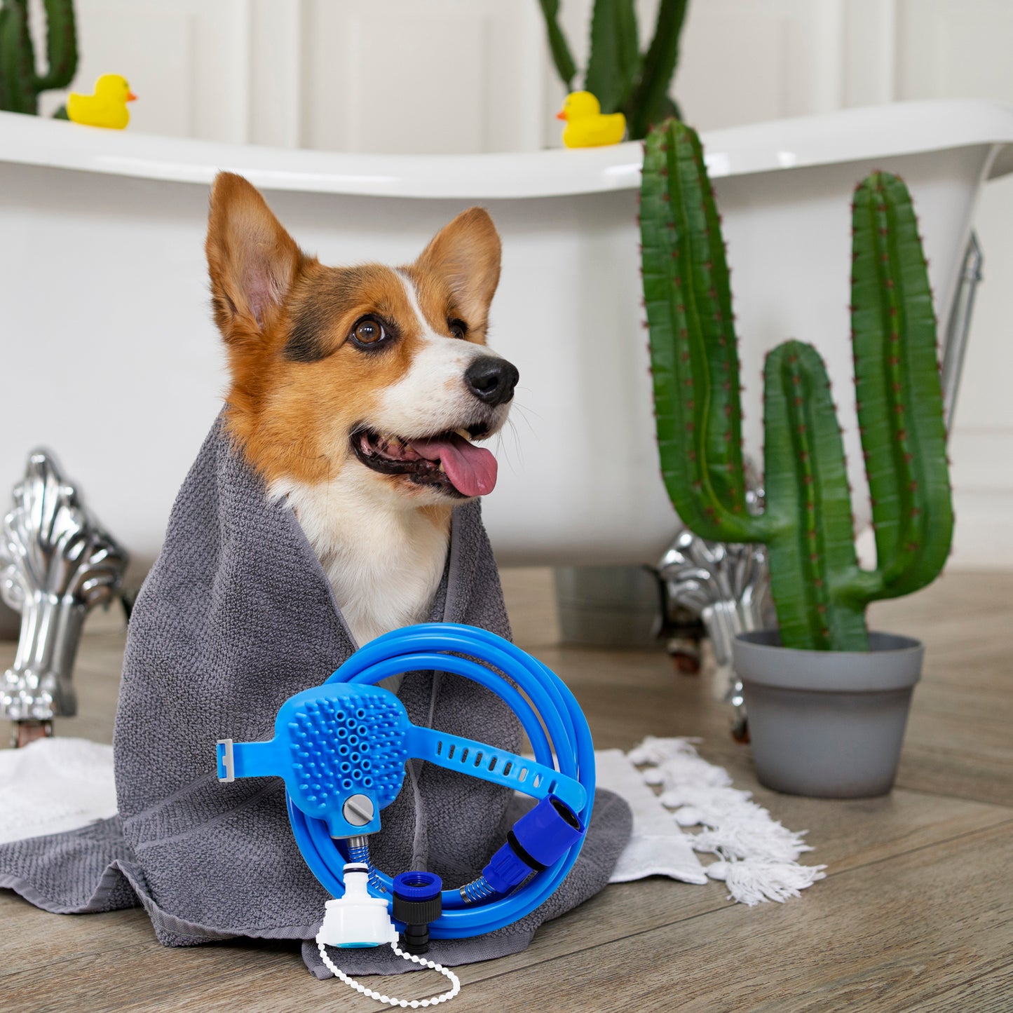Regadera cepillo para perro