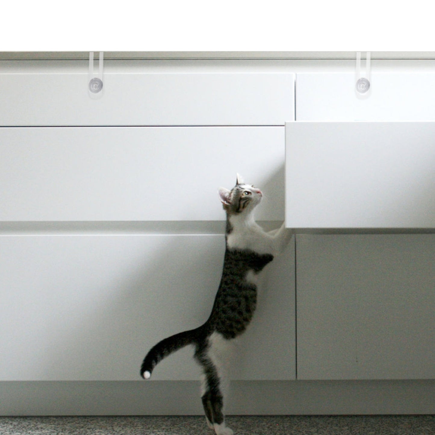 Set de 2 seguros multipropósito puerta