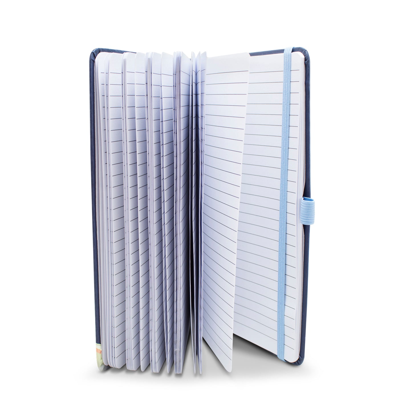 Set de Libreta y Pluma Bluey